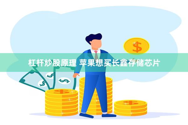 杠杆炒股原理 苹果想买长鑫存储芯片