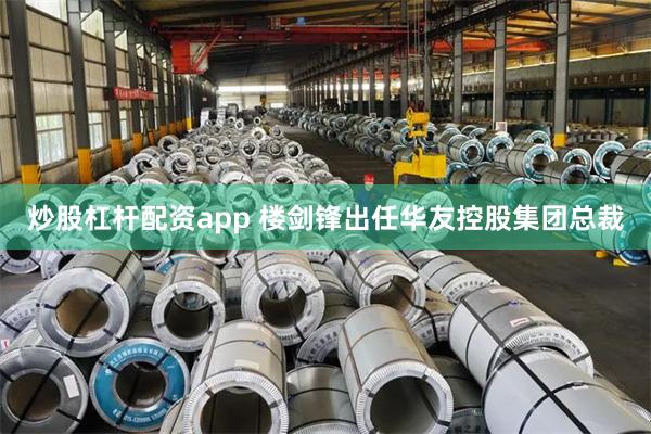 炒股杠杆配资app 楼剑锋出任华友控股集团总裁