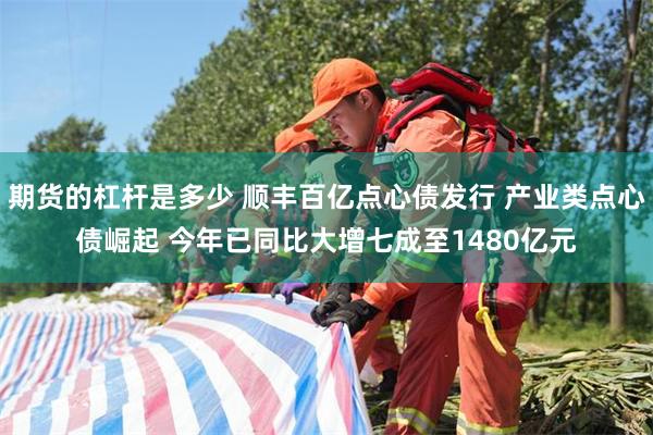 期货的杠杆是多少 顺丰百亿点心债发行 产业类点心债崛起 今年已同比大增七成至1480亿元